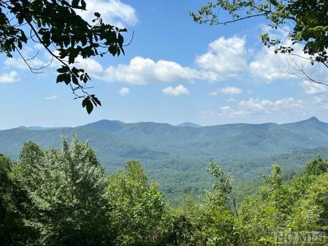 LOT40 White Tail Dr, Sapphire, NC 28774