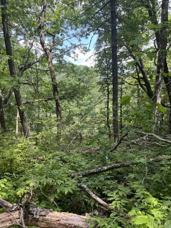 B Undala Rd, Glenville NC, 28736 land for sale