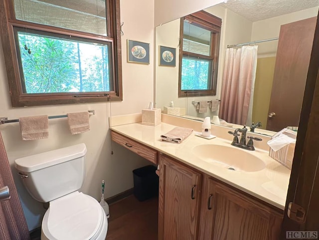 bathroom with vanity, a textured ceiling, and toilet