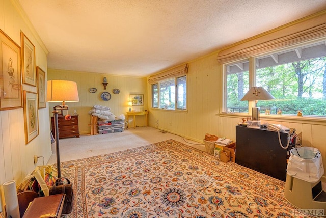 interior space with carpet and a textured ceiling