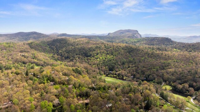 648 Sky Lake Dr, Highlands, NC 28741 - photo 10