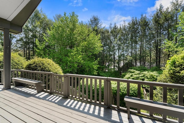 648 Sky Lake Dr, Highlands, NC 28741 - photo 21