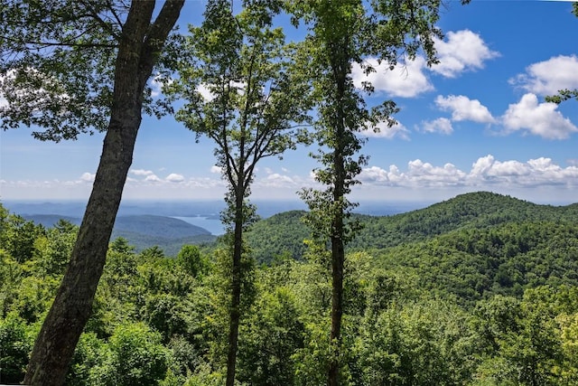 315 Jocassee Trl, Sapphire, NC 28774 - photo 27