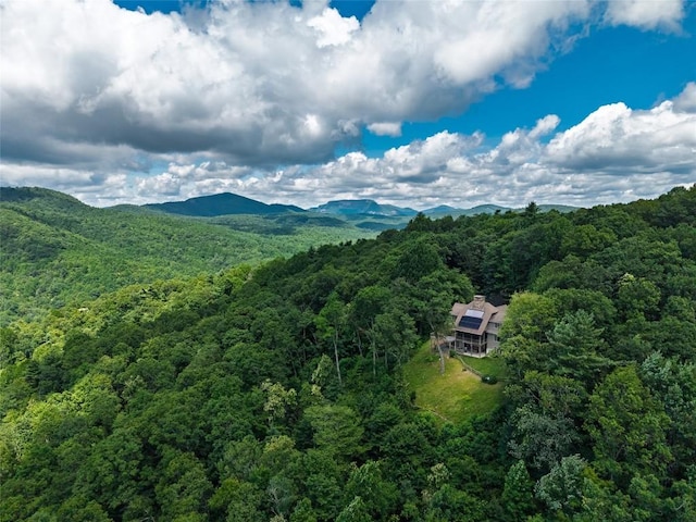 315 Jocassee Trl, Sapphire, NC 28774 - photo 49