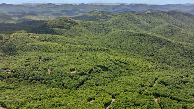 1310 New Settlers Way, Glenville, NC 28736 - view of mountain background with a heavily wooded area