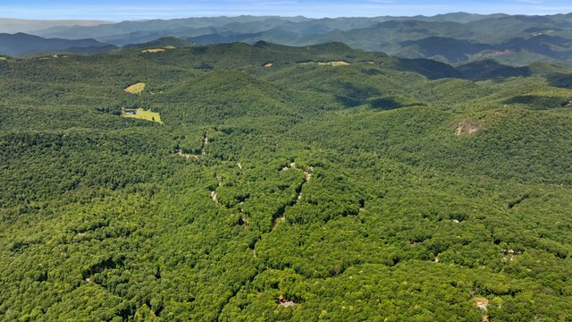 1310 New Settlers Way, Glenville, NC 28736 - view of mountain background with a forest