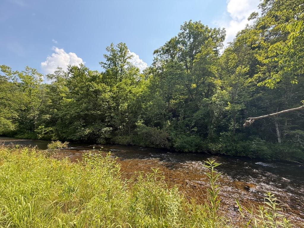 TBD Tamarack Trail, Cullowhee, NC 28723 - photo 2