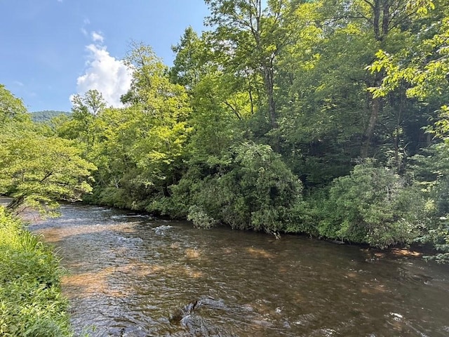 TBD Tamarack Trail, Cullowhee, NC 28723 - photo 1