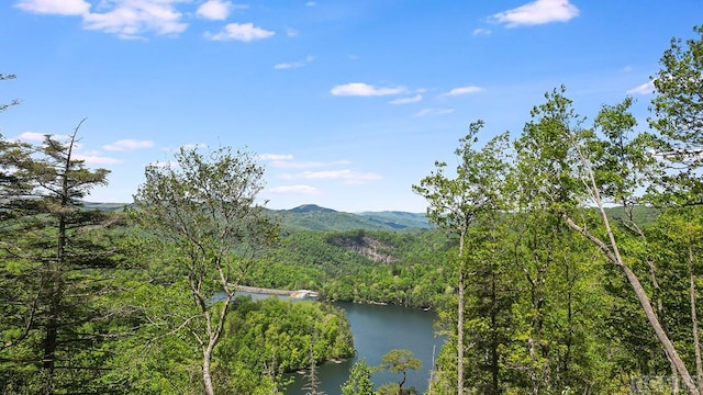 Listing photo 3 for 15B Von Trapp, Tuckasegee NC 28783