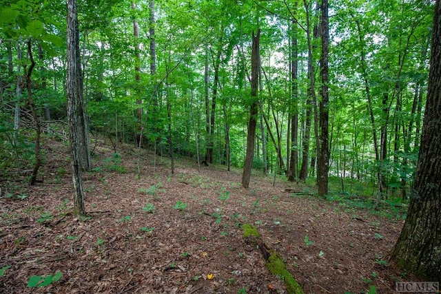 Listing photo 2 for LOT120 Lonesome Valley Rd, Sapphire NC 28774