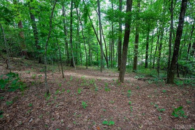 Listing photo 3 for LOT120 Lonesome Valley Rd, Sapphire NC 28774