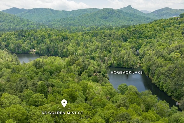 68 Golden Mist Ct, Sapphire, NC 28774 - photo 62