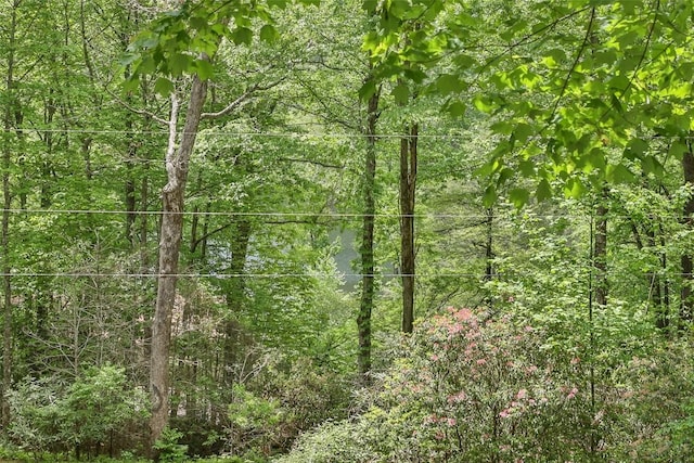 68 Golden Mist Ct, Sapphire, NC 28774 - photo 23