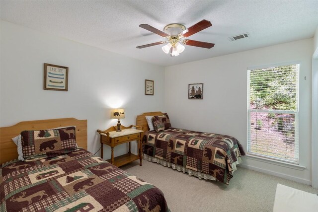 68 Golden Mist Ct, Sapphire, NC 28774 - photo 50