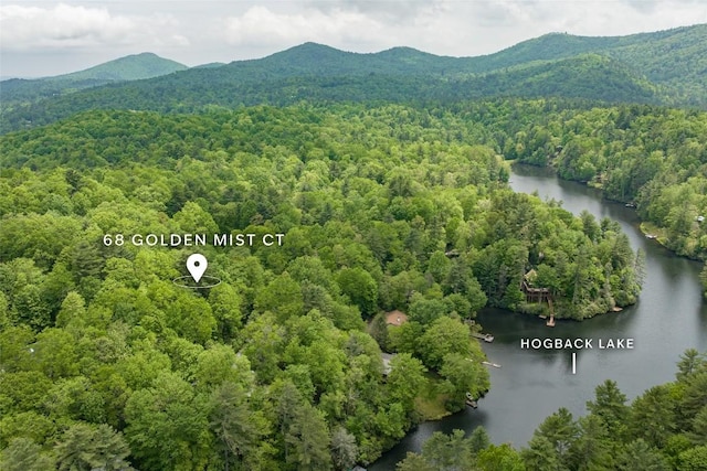 68 Golden Mist Ct, Sapphire, NC 28774 - photo 64