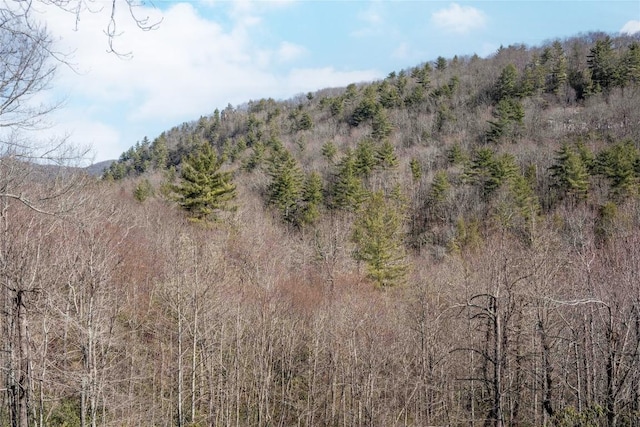 view of nature featuring a forest view