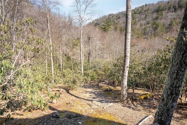 view of local wilderness with a view of trees