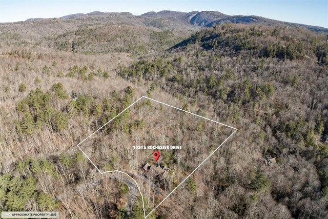 aerial view with a mountain view and a wooded view