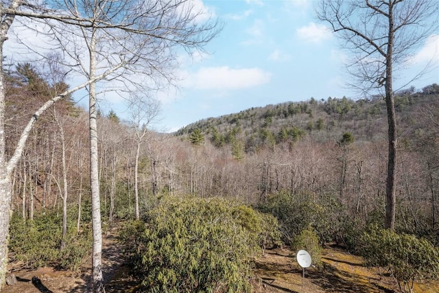 view of landscape featuring a forest view