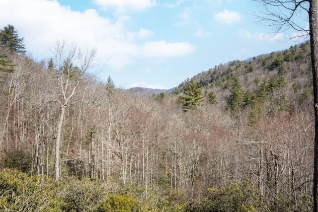 view of landscape featuring a wooded view