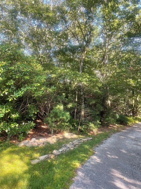 LOT57 King Gap Rd, Highlands, NC 28741 - photo 6