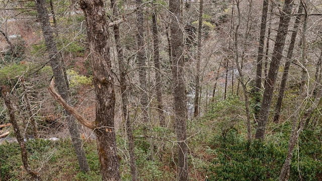 Listing photo 3 for 5 Lakeside Fls, Cullowhee NC 28723