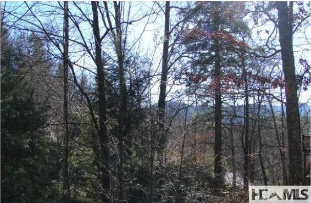 117 Buckberry Dr, Sapphire, NC 28774
