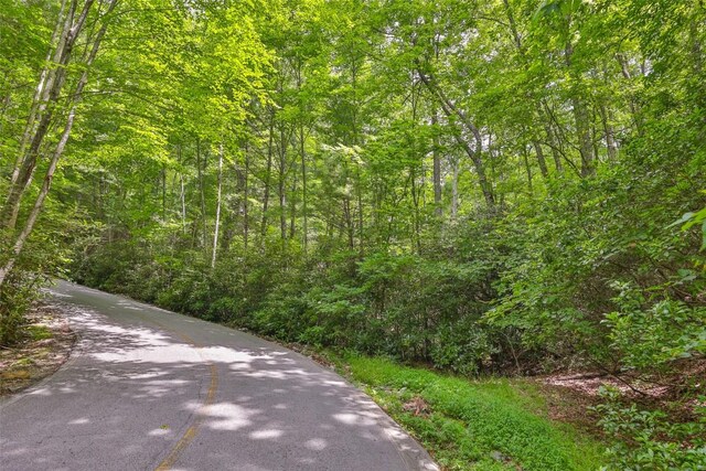 117 Buckberry Dr, Sapphire, NC 28774