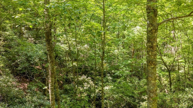 117 Buckberry Dr, Sapphire, NC 28774