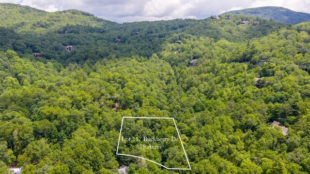 117 Buckberry Dr, Sapphire, NC 28774