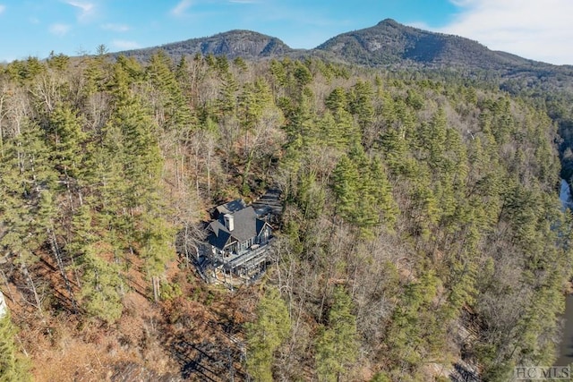 birds eye view of property featuring a mountain view