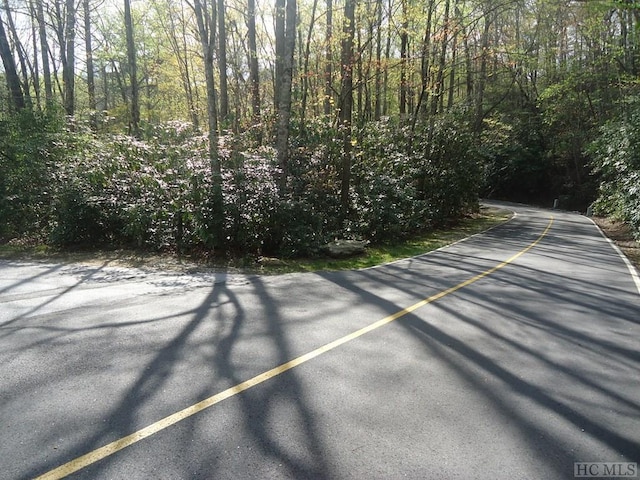LT208 W Christy Trl, Sapphire, NC 28774