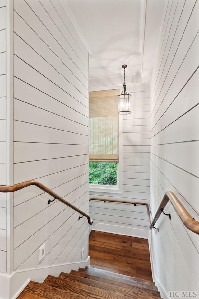 stairway featuring wood-type flooring and wood walls