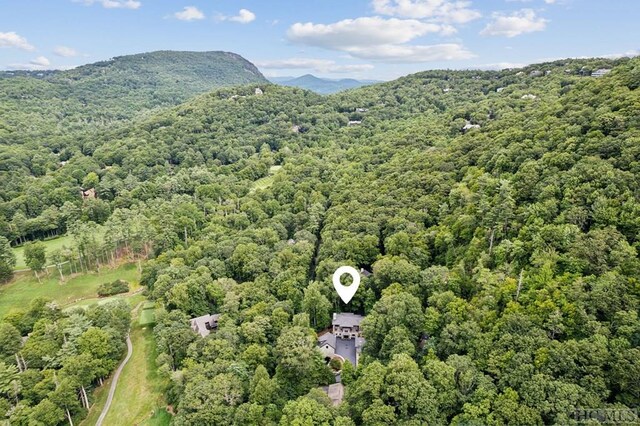 bird's eye view featuring a mountain view