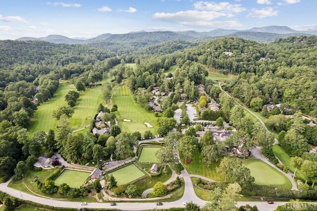 birds eye view of property featuring a mountain view