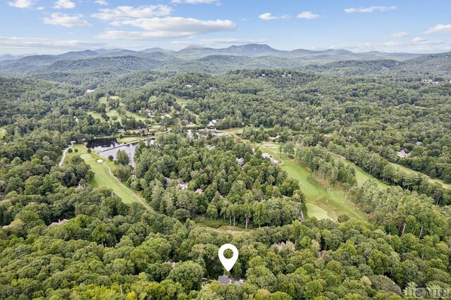 birds eye view of property featuring a water and mountain view