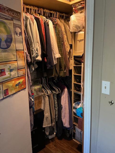walk in closet featuring dark wood-type flooring