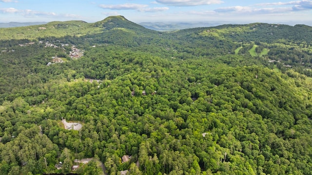 145 Mount Lori Dr, Highlands, NC 28741 - mountain view with a forest