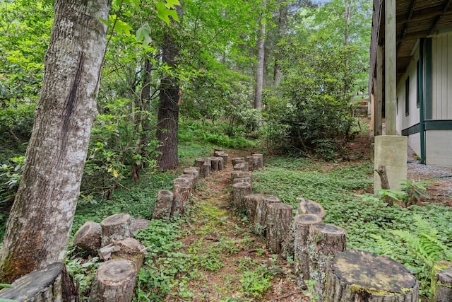 145 Mount Lori Dr, Highlands, NC 28741 - view of yard with a wooded view