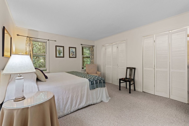 145 Mount Lori Dr, Highlands, NC 28741 - carpeted bedroom featuring multiple closets and multiple windows