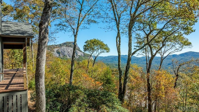 view of mountain feature