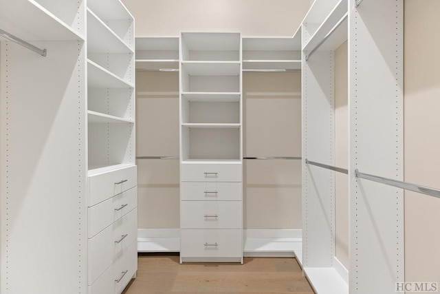 spacious closet with hardwood / wood-style floors