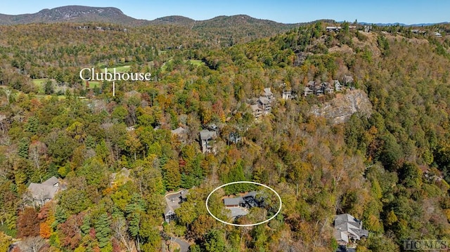 birds eye view of property with a mountain view