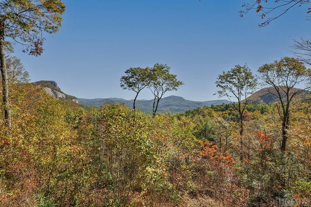 view of mountain feature