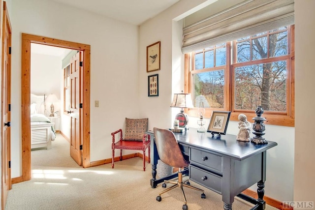 office space featuring carpet flooring