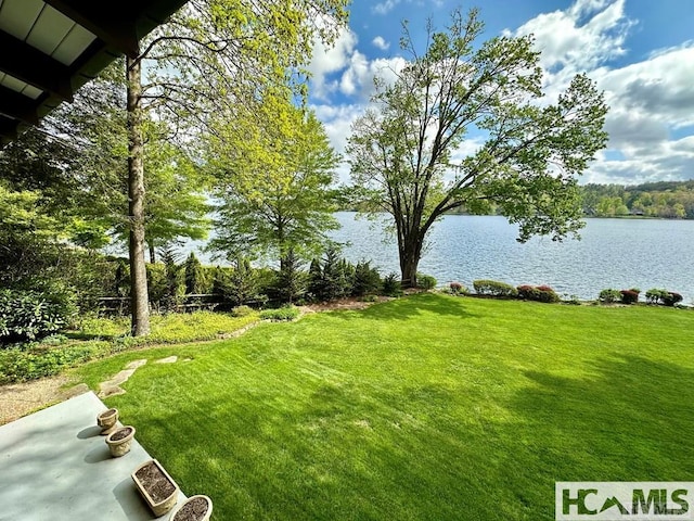 43 Chimney Pt, Lake Toxaway, NC 28747 - view of grassy yard with a water view