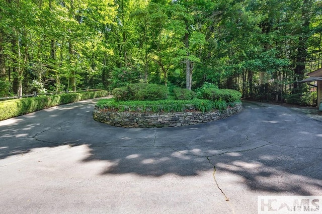 43 Chimney Pt, Lake Toxaway, NC 28747 - view of community featuring a forest view