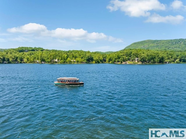 43 Chimney Pt, Lake Toxaway, NC 28747 - water view featuring a forest