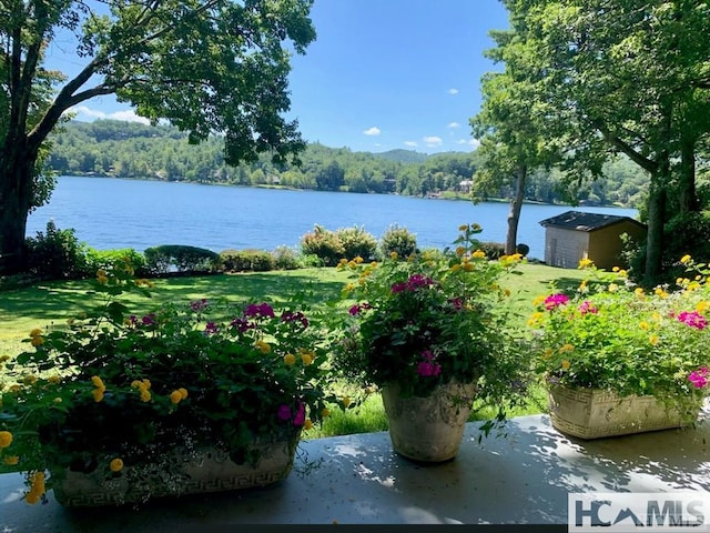 43 Chimney Pt, Lake Toxaway, NC 28747 - water view with a forest