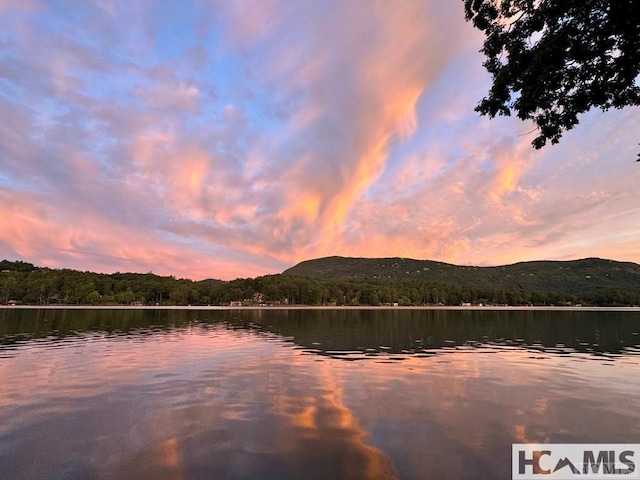 43 Chimney Pt, Lake Toxaway, NC 28747 - water view featuring a heavily wooded area